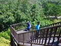 Tn DSC 2150